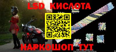 ECSTASY Бийск