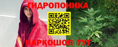 ECSTASY Бийск