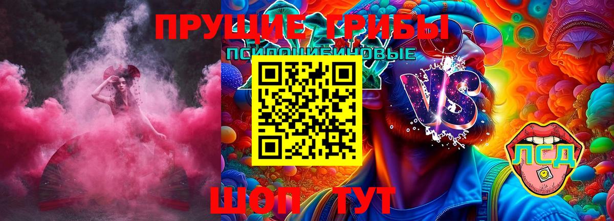 Галлюциногенные грибы Psilocybine cubensis Златоуст
